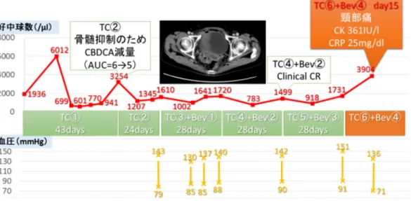 図 2 化学療法経過 断裂するようにして大網腫瘍を摘出した．また， 一部 S 状結腸が狭窄しており，腸閉塞のリスクも 高いため横行結腸にて人工肛門造設を必要とし た．そのため手術としては単純子宮全摘，両側付 属器切除，大網亜全摘，腸間膜腫瘍切除，S 状結腸 切除，人工肛門造設となった．腸間膜とダグラス 窩に 2 cm を超える残存腫瘍があり，また横隔膜 と腹膜にも小型の播種巣の残存を認めた．以上よ り，incomplete，suboptimal operation として終了 した． 最終病理診断：原発性腹