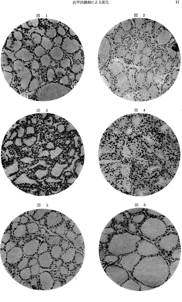 図 2図︑麟1 轟轟醗．騒騒 犠謂噸 図 4図 3 図 6図 5