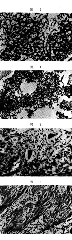 図 1 図 3 図 5 懸難園圃 図 7 縄 図 2図 4図 6図 8