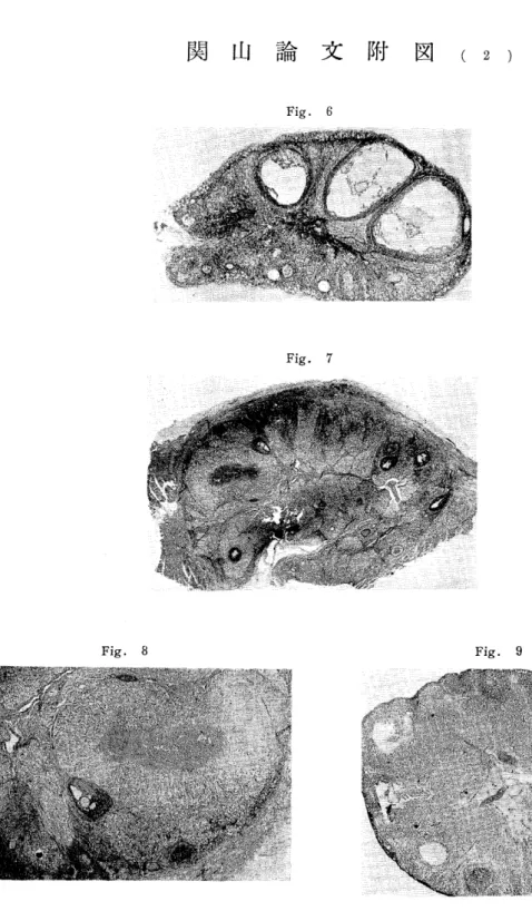 Fig． 6 Fig。 7 馨、． 輔 馨騨 Fig． 8 耀        Fig． 9 離縁 灘鐡