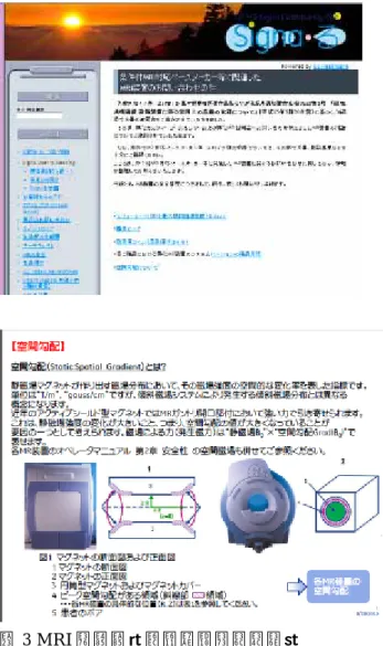図 3 MRI の安全（空間勾配について） 