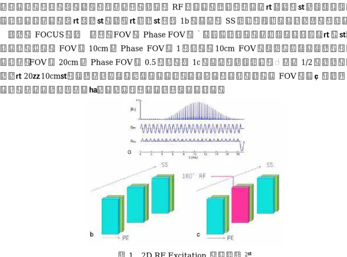 図 1  2D RF Excitation  の原理図 2 ）