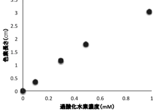 図　過酸化水素濃度と色素長さ0