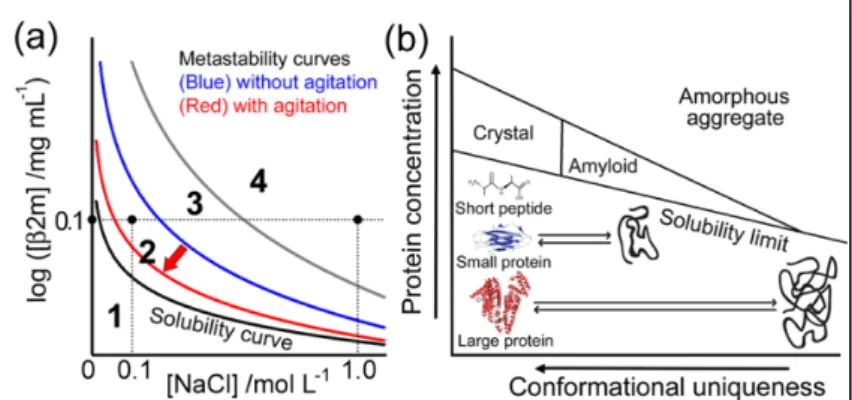 Fig. 3. (a) Phase diagrams of 2-m at pH 2.5 depending on the NaCl  and  2-m concentrations