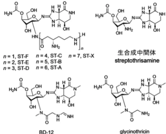 図 1.  ST及び ST類縁化合物の化学構造