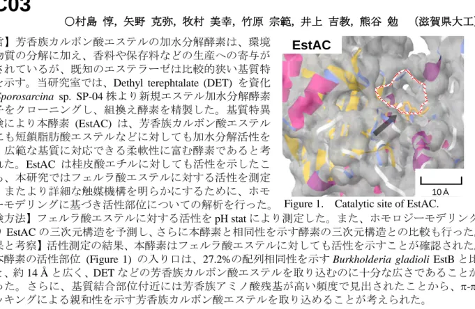 Figure 1. Catalytic site of EstAC. 