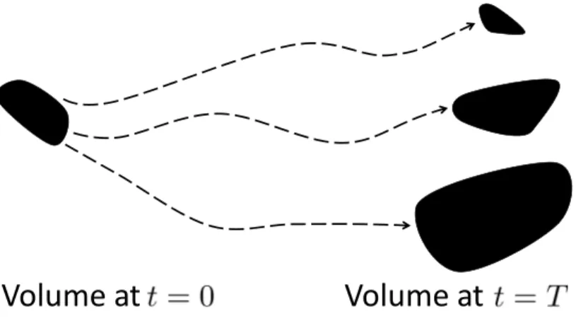 Figure 1.2: Change in the infinitesimal volume in the state space along each path.