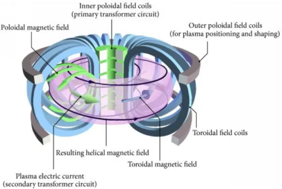 Motion in a toroidal magnetic field - Single-particle orbit motions