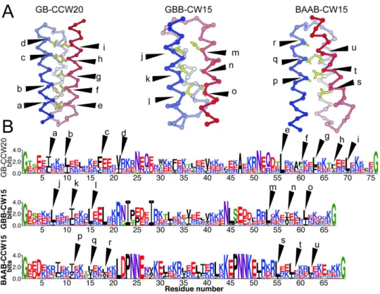 Figure S2-18. The side-chain packing in the interface between first and third α-helices in the structures of designed three-helix bundles, GB-CCW20, GBB-CW15, and BAAB-CCW15