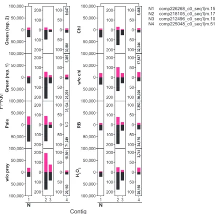 Figure 3.4. Effect of chlorophyll and ROS on mRNA levels of selected genes in  Naegleria sp