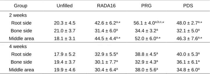 TABLE 1 Quantitative analysis of PCNA-positive cells     