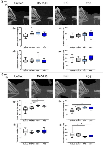 FIGURE 3 Two-dimensional micro-CT images and quantification results. 