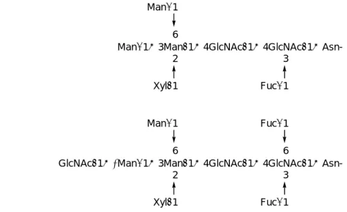 Figure 2-1. Typical Structures of Animal (A), Plant (B), and Helminth (C) Derived Complex-type Glycans