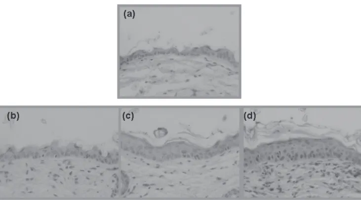 Fig. 3　Expression of mRNAs of several cytokines HB-EGF,  TGF-β1  for  the  proliferation  and  differentiation  of  keratinocytes, and IL-1β, TNF-α for the inflammation