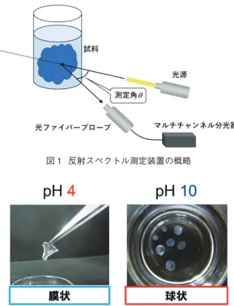 図 1  反射スペクトル測定装置の概略