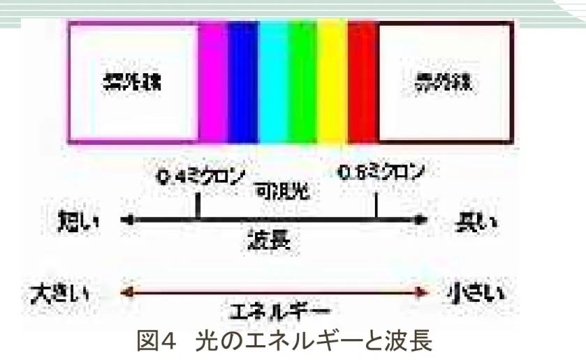 図４ 光のエネルギーと波長