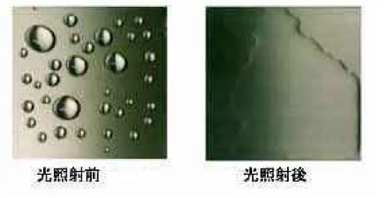 図７ 酸化チタン薄膜についた水滴は光照射に よって一様な水膜となる