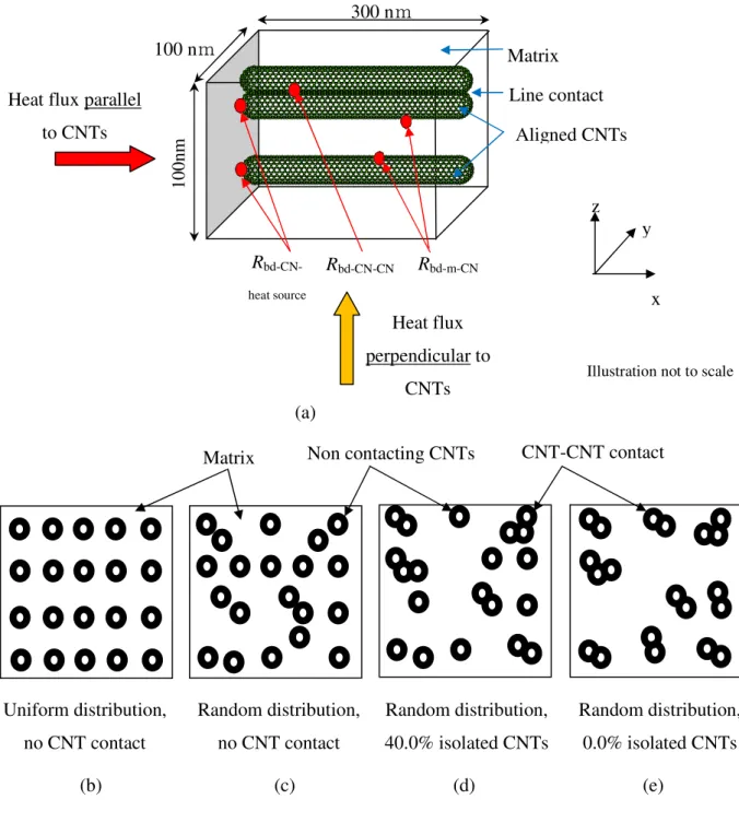 Figure  1.  This figure is  irrespective of SWNT and MWNT, it covers both. Parameters used in  this study: (a) Schematic drawing of CNTs with different interfaces and therefore TBRs, and a  top  (y-z  plane)  view  of  20  CNTs  (b)  uniform  CNT  distribu