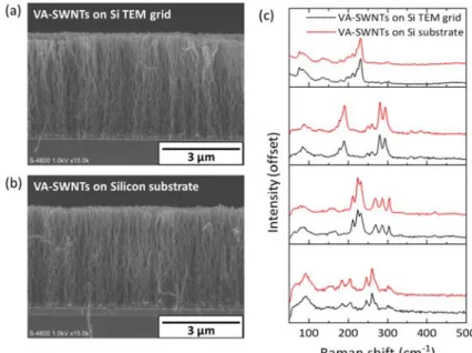 Figure S3. Representative SEM images of VA-SWCNTs synthesized (a) on Si TEM grid; 