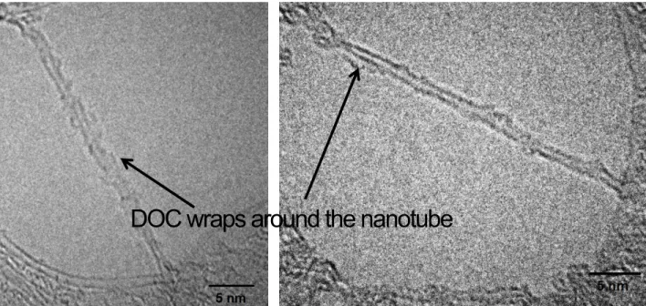 Figure 2.5: TEM visualization of surfactant-encapsulated SWCNTs. Image captured at an  acceleration voltage of 200 kV