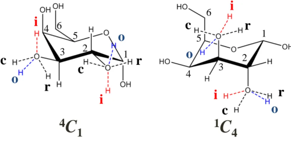 図 3.1  α- D -galactopyranose の二つのいす型配座の図． “r”および“c”は，それぞれ六員環上の各 水酸基の水素の回転の方向が反時計回りおよび時計回りに向いていることを表す． “i”は六員環 の水酸基が分子内水素結合を形成する傾向が強いことを表し， “o”は水酸基が分子外の環境との 相互作用を優先していることを表す． 