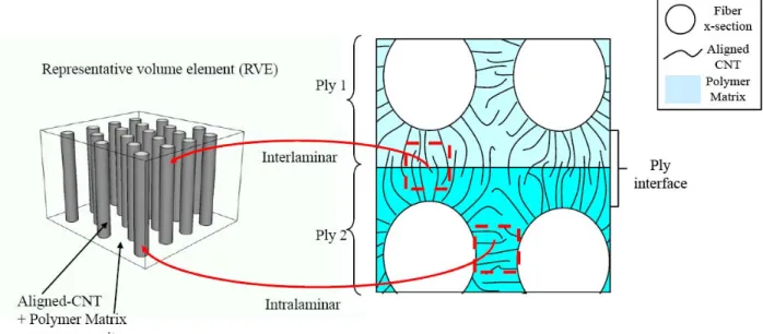Figure 1. Schematic drawing of three-phase CNT reinforced composites, and aligned CNTs in a polymer  matrix as a representative volume element
