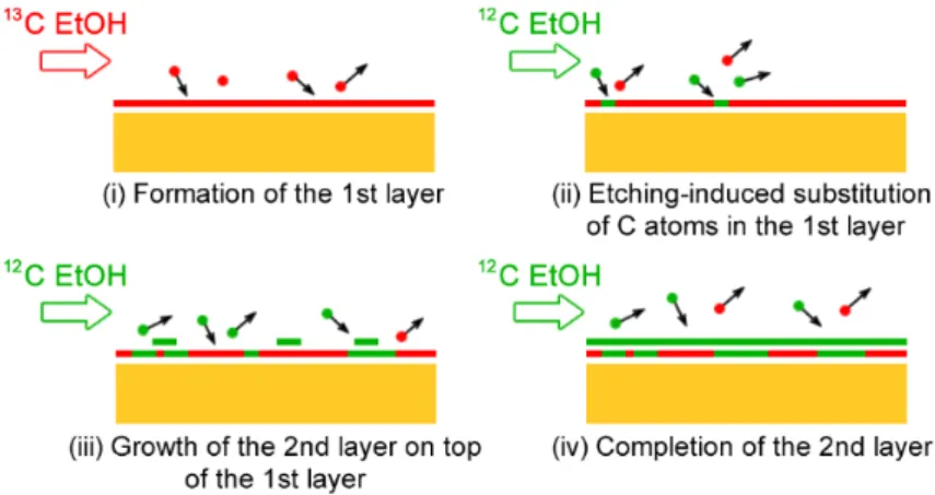 Figure 9. (a) Schematic the layer-by-layer epitaxy mechanism for equilibrium BLG growth  using ethanol as CVD precursor