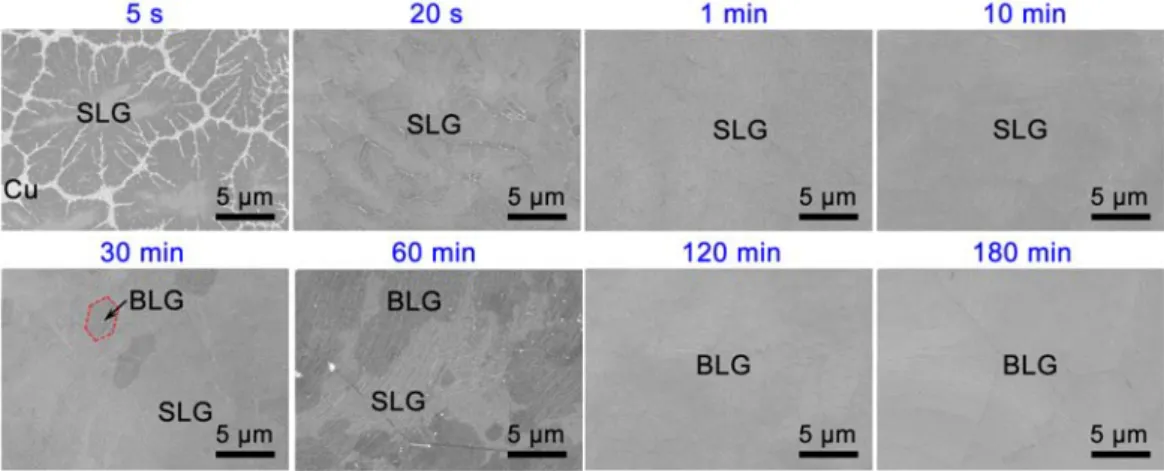 Figure  3.  SEM  images  of  as-grown  graphene  from  ethanol  on  a  Cu  surface  for  different  growth  periods