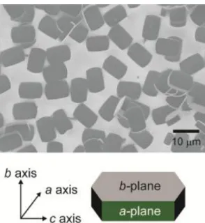 Figure  2.  SEM image of silicalite-1 crystals mounted on a Ti-deposited Si/SiO 2  substrate (top panel),  and  schematic  of  coffin-shaped  silicalite-1  crystal  (MFI-framework)  with  the  name  of  each  plane  (bottom)