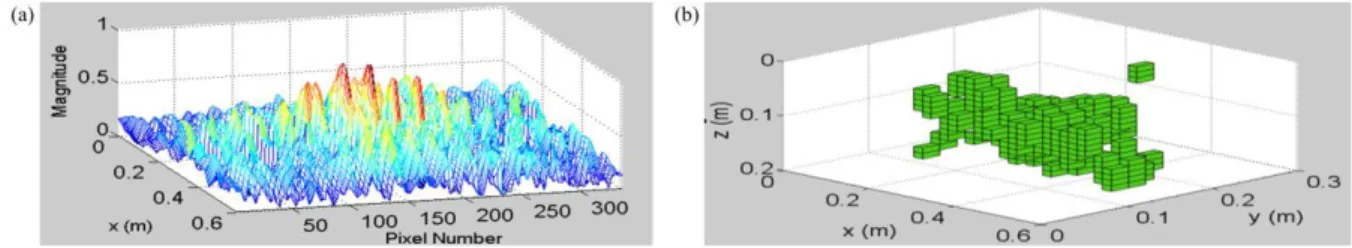 Fig. 9 The reconstructed landmine image from the ALIS datasets using 100% of the data by Fourier- Fourier-based SAR processing