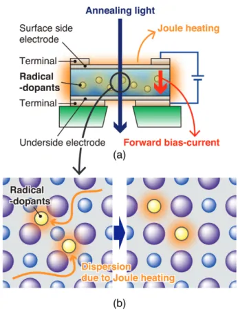 Fig. 1 Schematic diagram of (a) optical annealing, and (b) the behavior of radical dopants during the process.