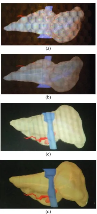 Fig. 7 Comparison of the images presented by the conventional methods (hexagonal lens array without vertical di ﬀ usion (a), hexagonal lens array with vertical di ﬀ usion (b), inclined hexagonal lens array with vertical  dif-fusion (c)) and the proposed me