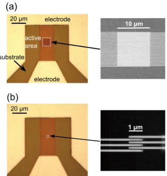 Fig. 1 Optical photomicrographs of the SN-OE converter devices and scanning electron microscopy (SEM) images of the meandering nanowires with active areas of (a) 10 × 10 µ m 2 and (b) 1 × 1 µ m 2 .