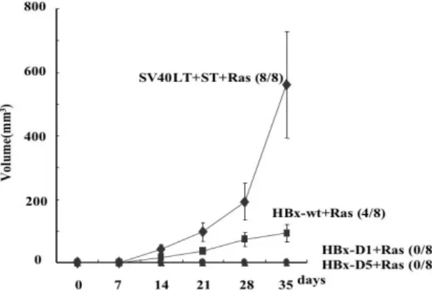 Figure illustrates tumor formation in nude  mice. Each point on the graph represents  the average volume of tumors