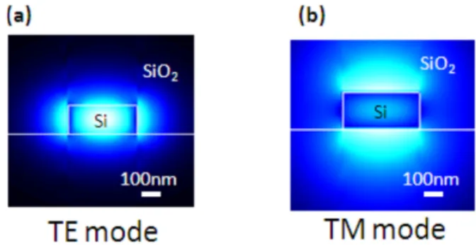 Fig. 12 Simulation of electric field in Si waveguide without graphene integration. (a) TE mode