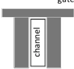 Fig. 2 A schematic illustration of the vertical channel double gate device.