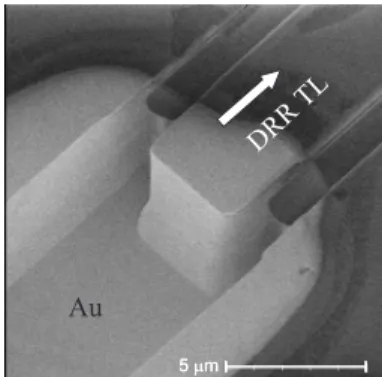 Fig. 8 SEM image of highly reflective back mirror coated with Au.
