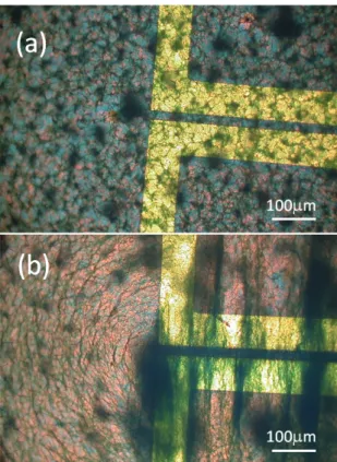 Fig. 3 Optical micrographs of PbPc crystals grown under a static electric field and quasi-thermal equilibrium conditions