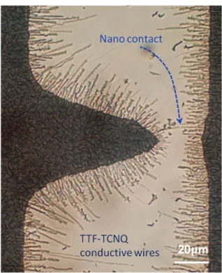 Fig. 4 Optical micrograph of a nanocontact between two TTF-TCNQ conductive wires grown under a static electric field and quasi-thermal  equi-librium conditions.