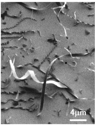 Fig. 5 Time variation of the electrical conductivity for a connected TTF- TTF-TCNQ wire