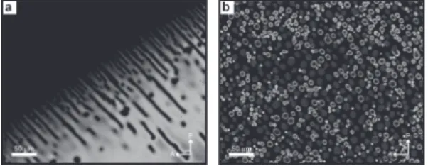 Fig. 3 Polarization optical micrographs of (a) pure 5CB and (b) 5CB sputtered with gold for 20 mins.