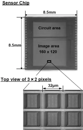 Figure 1 shows the optical micrograph of the sensor chip, and the top view of 3 by 2 IR detection pixels