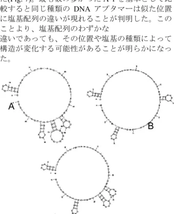 Fig. 6 Flow cytometric assay for the binding of the  each round aptamers with human primary hepatocyte 