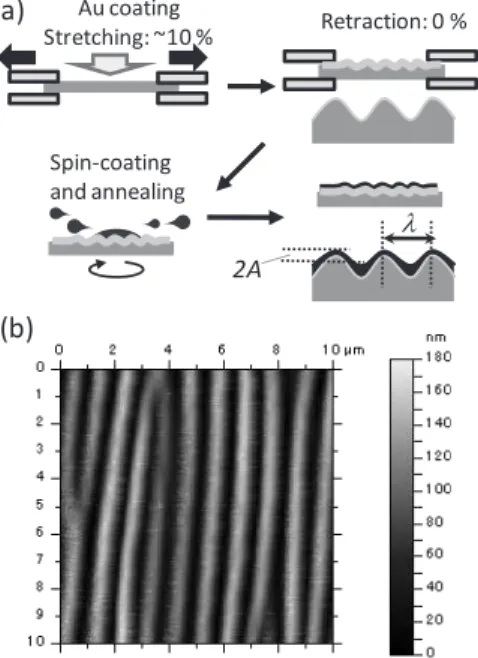 Fig. 1 (a) Preparation and (b) AFM image of the microwrinkles coated with a polymer.