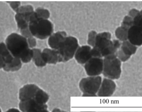 Fig. 1 TEM image of the Fe 3 O 4 particles. Typical particle size was 20–