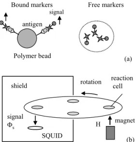 Fig. 6 (a) Detection principle of liquid phase immunoassay using polymer beads. (b) Schematic figure of the detection system.