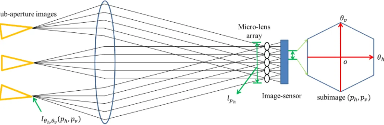 図 1 Light ﬁeld camera の模式図 Fig. 1 Schematic diagram of light ﬁeld camera.