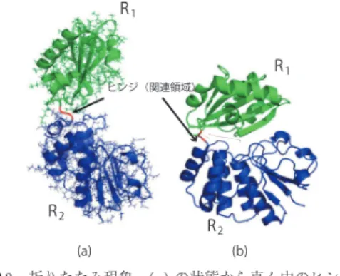 Fig. 13 Folding phenomenon: conformation change from (a) to (b) around the mid part by  fold-ing.