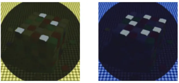 図 3 コンテクストを隠した場合の色知覚 [32]