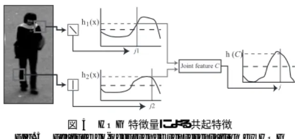 Fig. 5 Feature co-occurrence representation by HOG features. ら得られた 3,240 個の HOG 特徴量を x ，弱識別器の 出力を h 1( x ) ， h 2( x ) とした場合，下記の 2 パターン の結合により共起確率特徴 C 1 ， C 2 を次式より表現 する． C1 = h1(x) + h2(x) (9) C 2 = h 1( x ) × h 2( x ) (10) まず，共起特徴 C1 は，弱識別器の出力の和であるた め，二つの